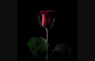 世界上最值钱10张照片,史上40张最贵照片