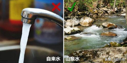 调酒入门伏特加推荐,伏特加调酒入门必备清单