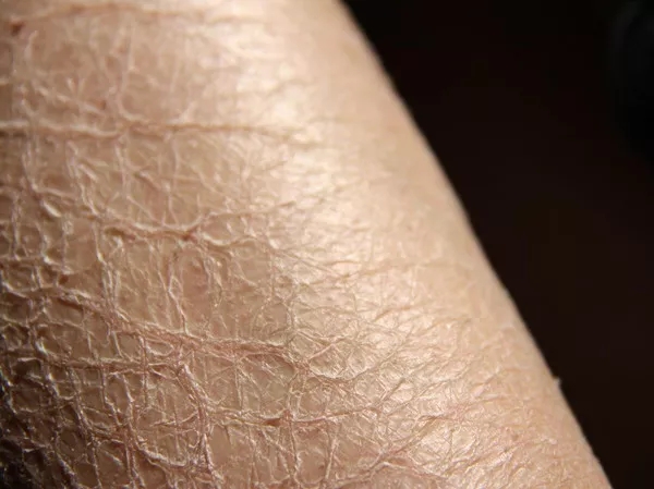 董欣沐浴露身体乳,董欣沐浴露套盒多少钱