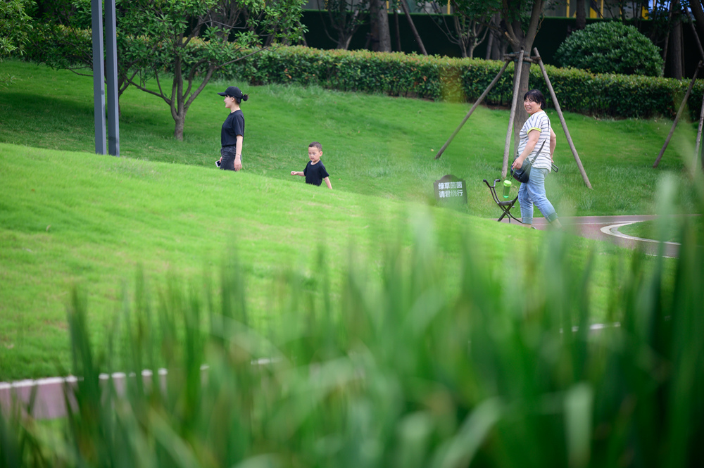 四家龙头企业同日签约，武陟产业新城再获高科技加码