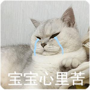 用古文说现代话,现代话用古文表达