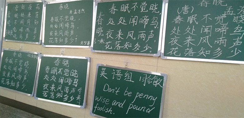 别样的保定贺阳外国语学校，教师的板书就是这么“棒”