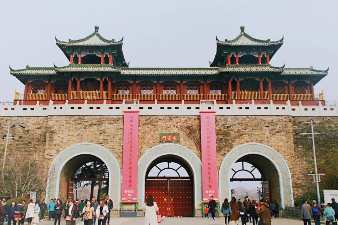 五一南京旅行全攻略,南京到处都是小虫子