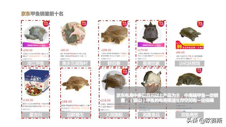 欧赛斯带你全方位洞察甲鱼市场发展趋势及竞争格局