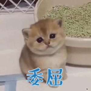 美食广告后面的秘密,美食广告的骗局合集