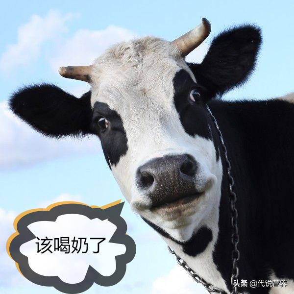 蛋粉有什么特点和用途,蛋白粉适合什么年龄吃