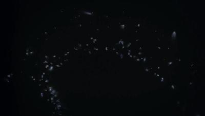 豆瓣netflix电影,bbc地球奇观纪录片