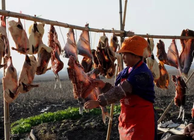 夜深知雪重读音,夜深知雪重