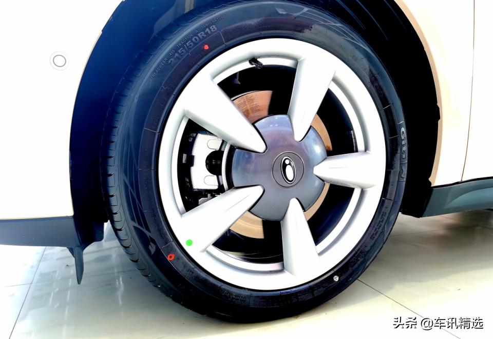 这有一只“好猫”登陆厦门，欢迎来“撸”