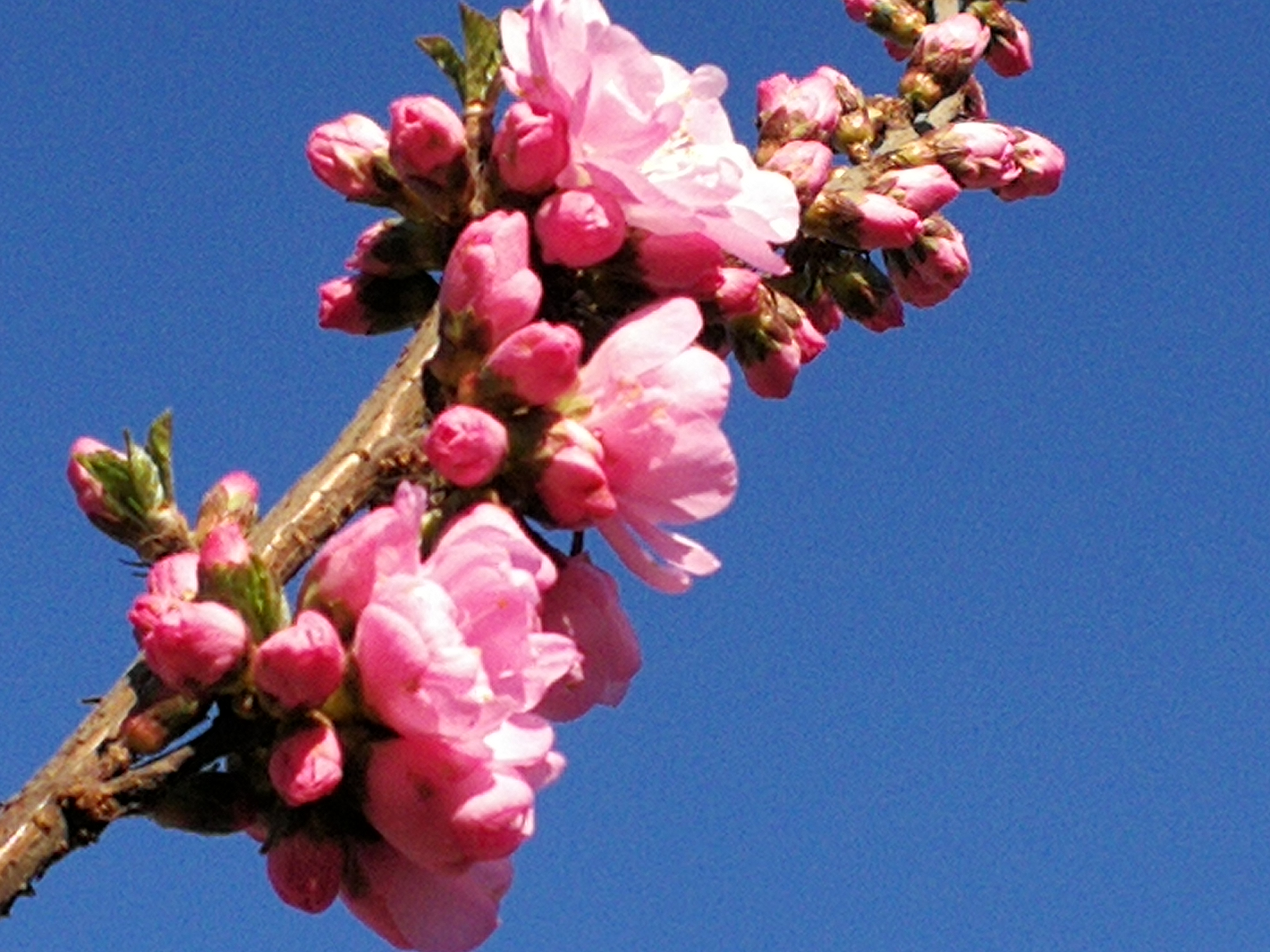 在银行买的理财型保险靠谱吗,在银行购买保险产品靠谱吗