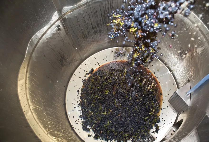 红葡萄酒酿造程序图,怎样酿造红葡萄酒好喝呢