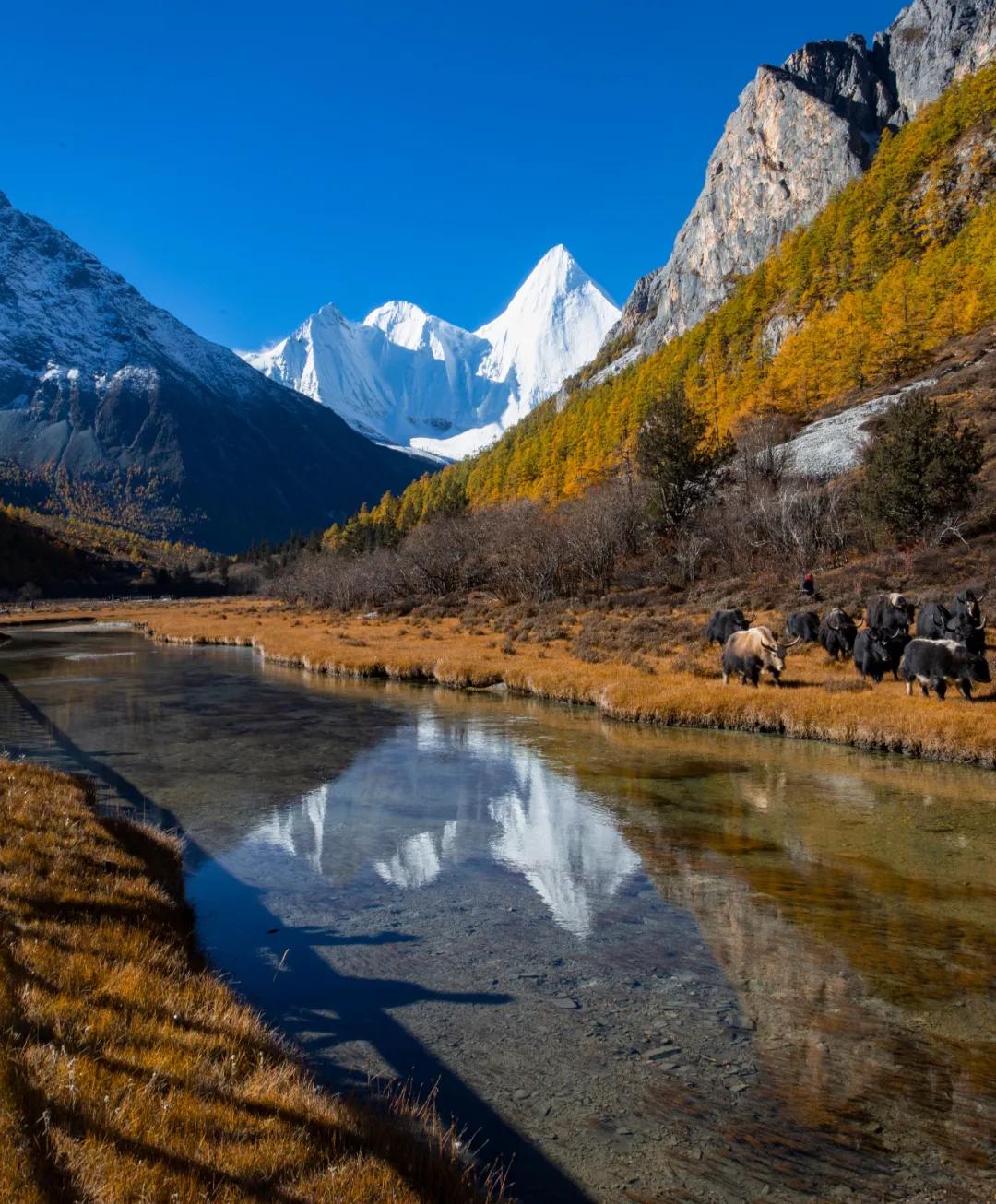去四川稻城亚丁旅游攻略图解大全,去稻城游玩攻略