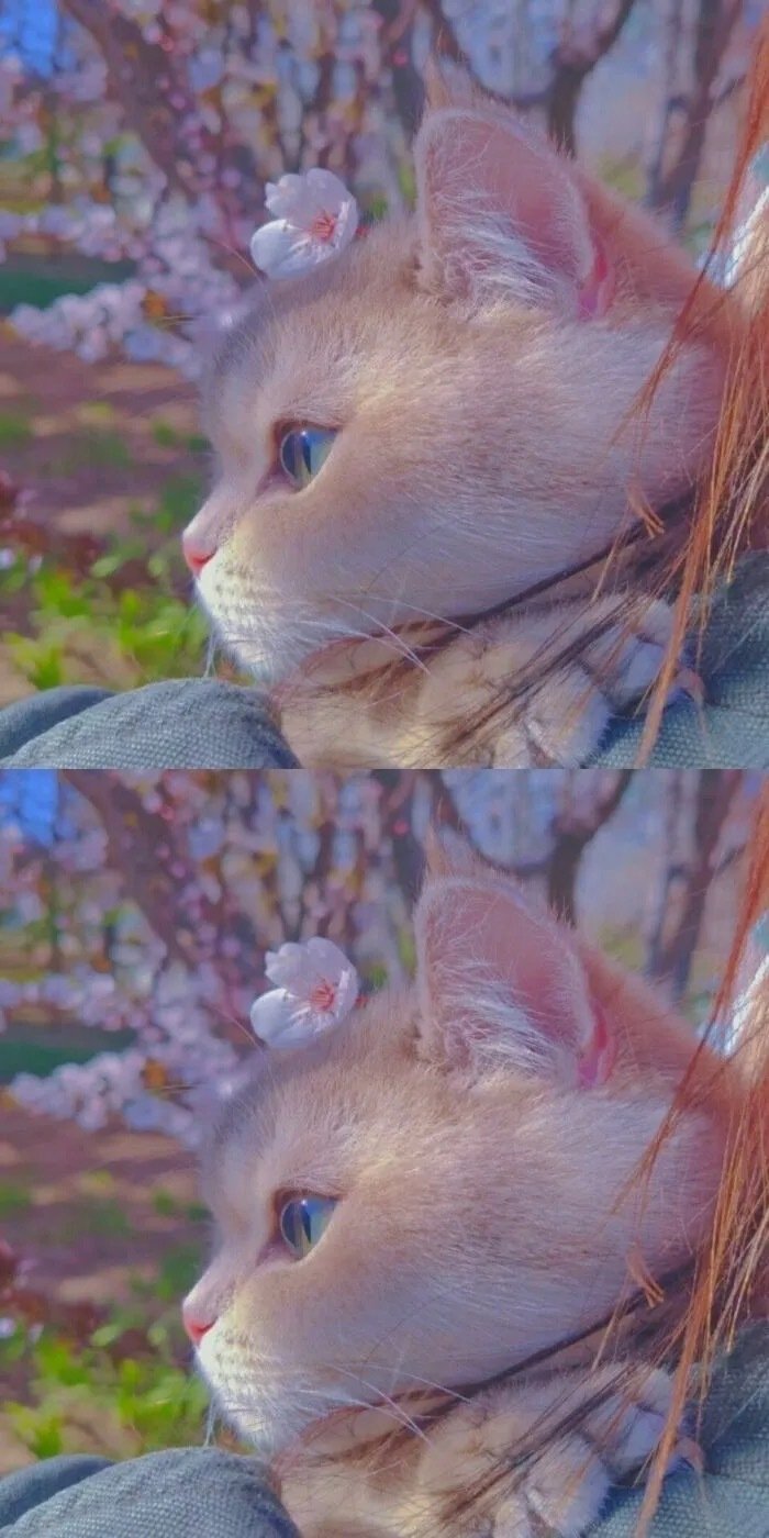 千与千寻壁纸高清动漫文字,壁纸超清文字励志动漫