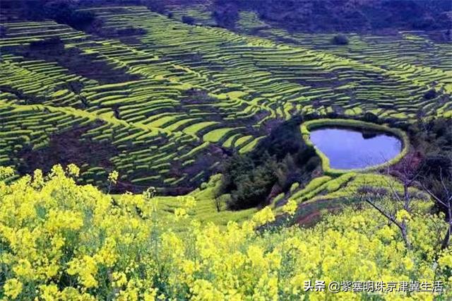 婺源篁岭沐舍轻奢美宿,婺源篁岭花间美宿