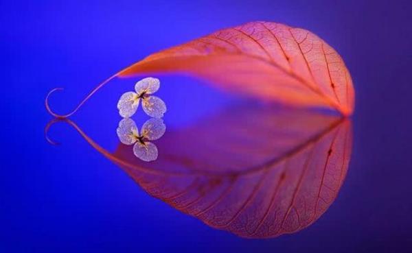 一个人好运来临的八个征兆,一旦遇到这3个暗示证明好运将至