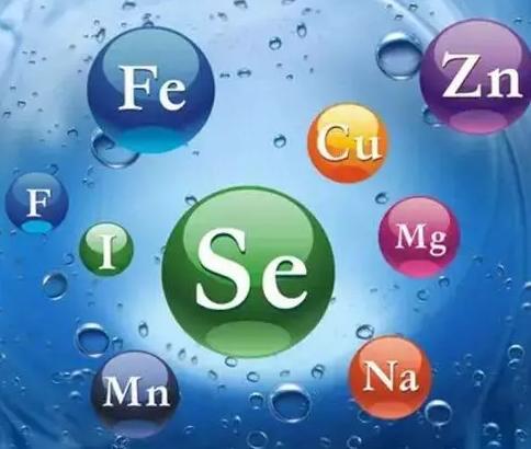 白癜风黑色素完全脱失还能恢复吗,白癜风黑色素脱失怎么激活