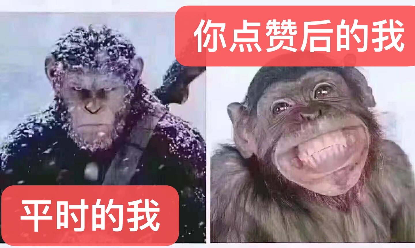 资治通鉴的人物,资治通鉴里的人物片段