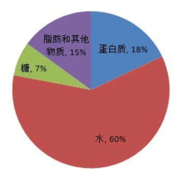 疫情期间,在家怎么健身减肥瘦身?