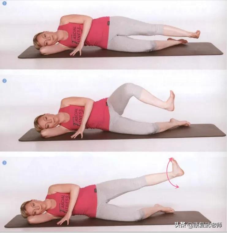 臀部肌群解剖,臀部肌功能解剖