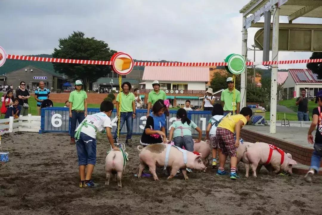 日本顶级农业农场,日本田园农场排行榜