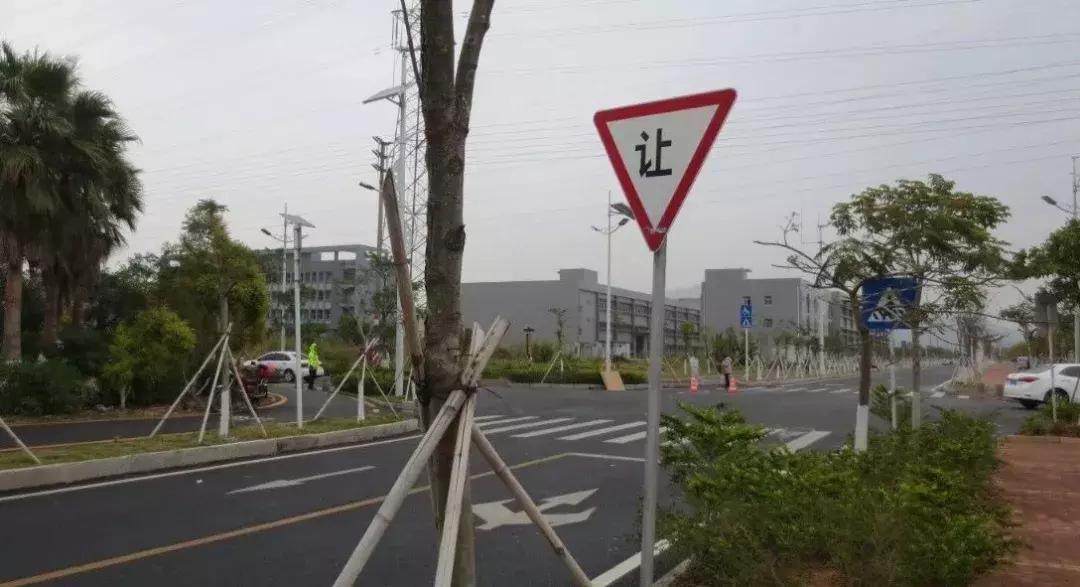 珠海横穿马路被撞飞后续,珠海一男子骑摩托车逆行身亡