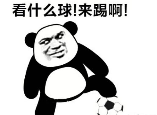 各足球著名球星的座驾,各大足球明星的座驾