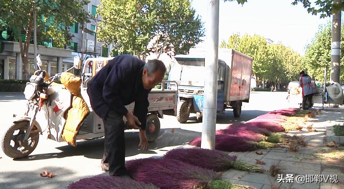 老式扫帚手工,老手艺扎扫帚