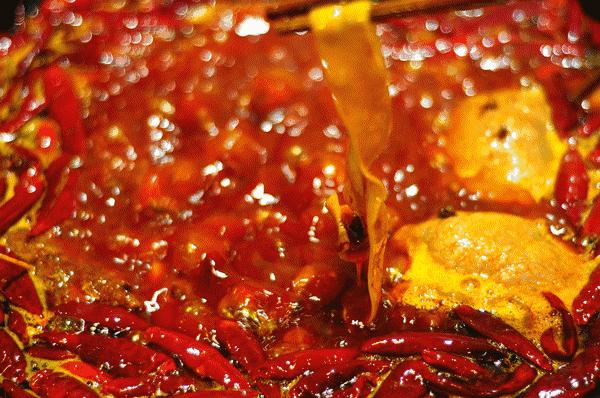 遇见康县丨遇见“万宝山”(一)