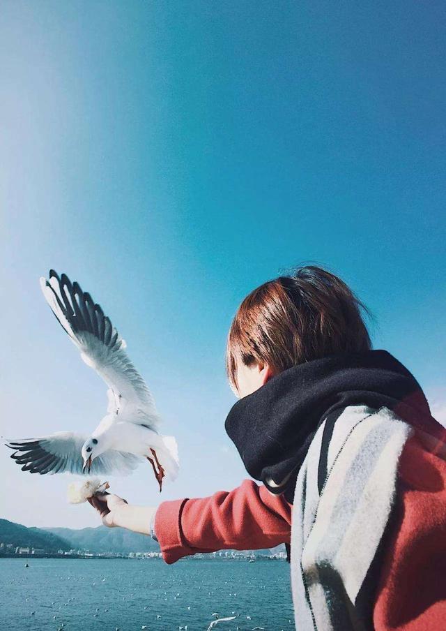 如何用手机拍出专业摄影机的效果,怎么用手机拍出摄影效果