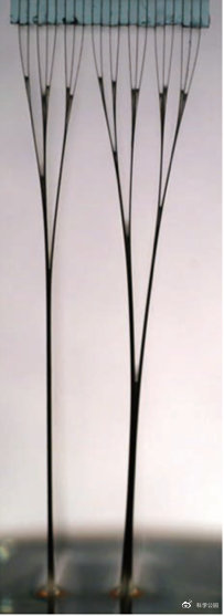 头发粘在一起是怎么回事,为什么头发会粘在一起