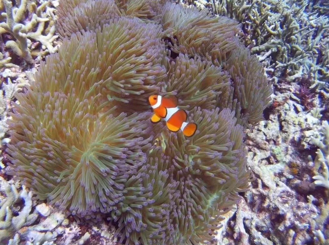 娴峰矝鐧句竾杩愰暅,娴峰矝濂囧叺鐧句竾璧勬簮鍊煎緱涔板悧