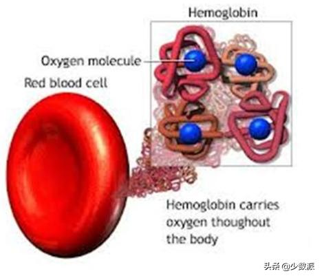 全天监测心率血氧手表有用吗,苹果s7手表血氧监测怎么使用