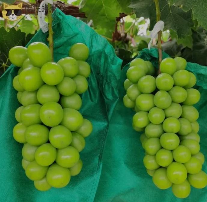 三润集团有限公司,三润集团旗下有哪些公司