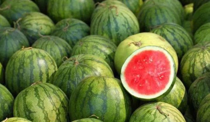 为什么日韩游客在国内买西瓜,如何把国内的西瓜卖到韩国