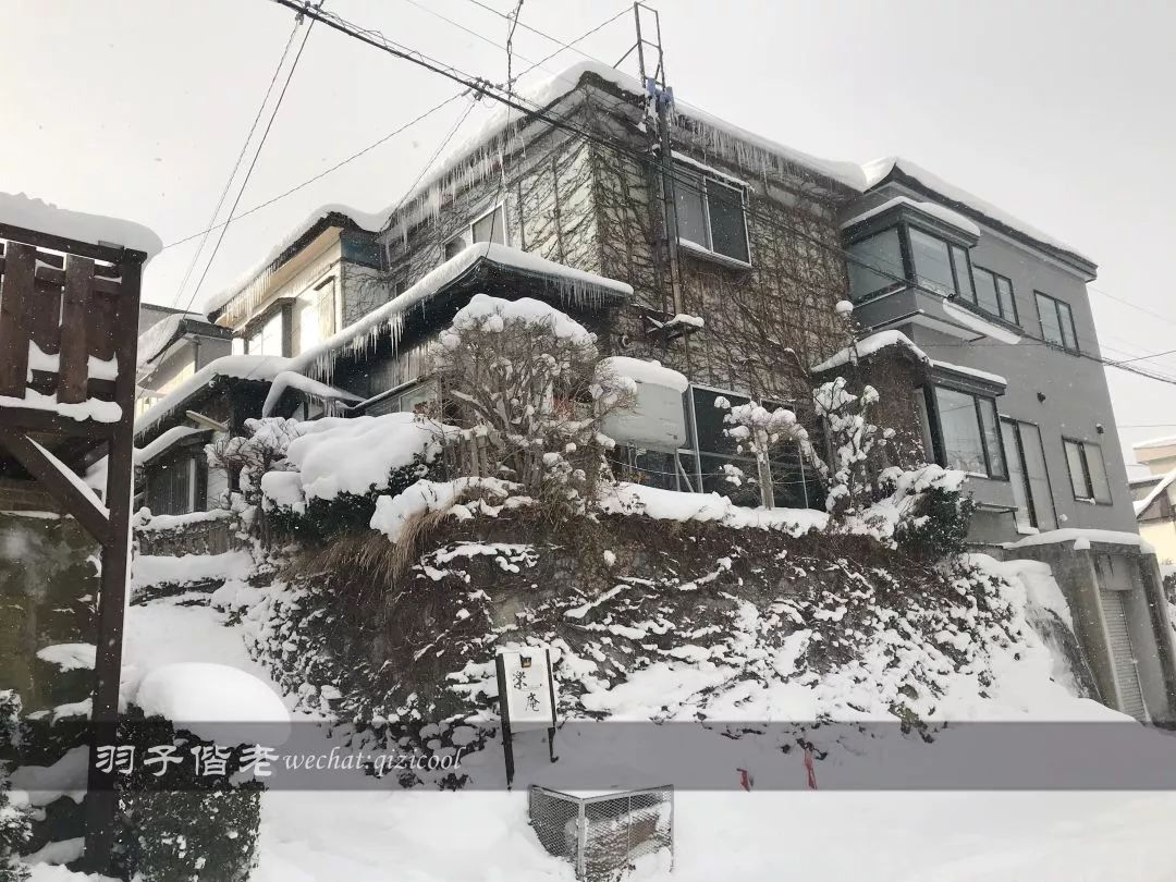 老实说,这一趟北海道就是为了拍好看的照片去的