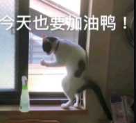 20个创意个性小众网站,17个灵感创意必备网站