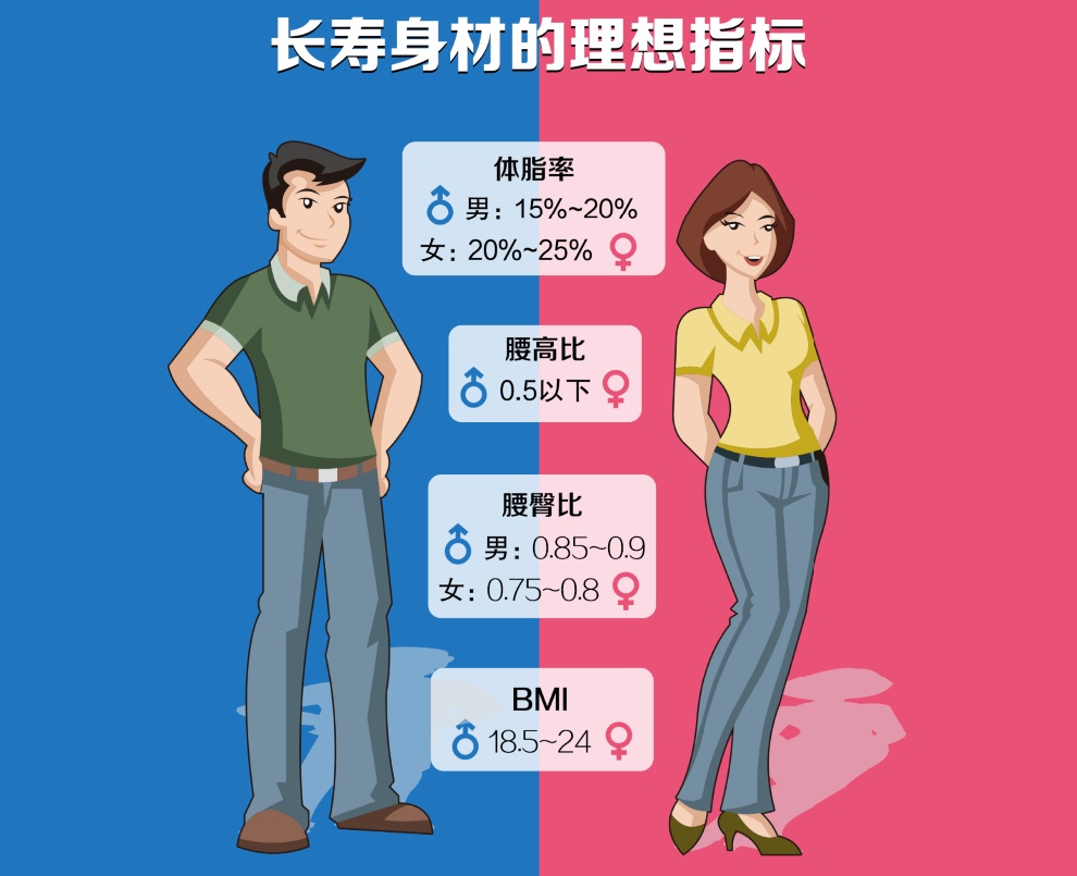 腰围越大寿命越短还真不是谣言,腰围多一寸寿命少一截