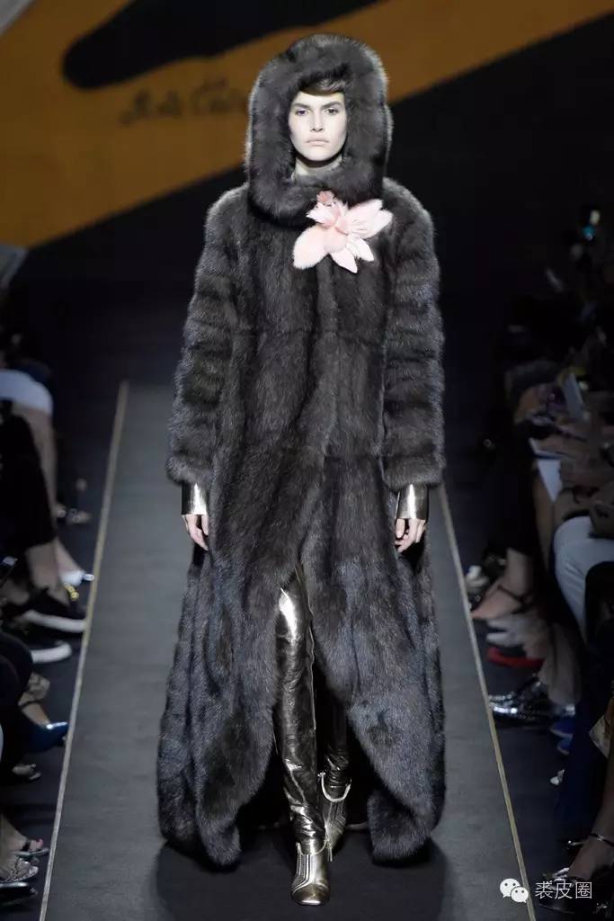 裘中之王野生紫貂,裘中之王是什么意思