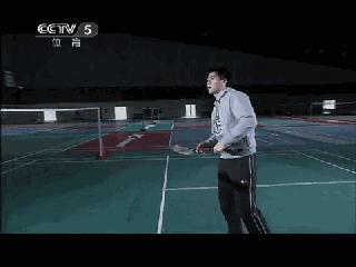 金秋诗画（学羽精华33.发力技巧）