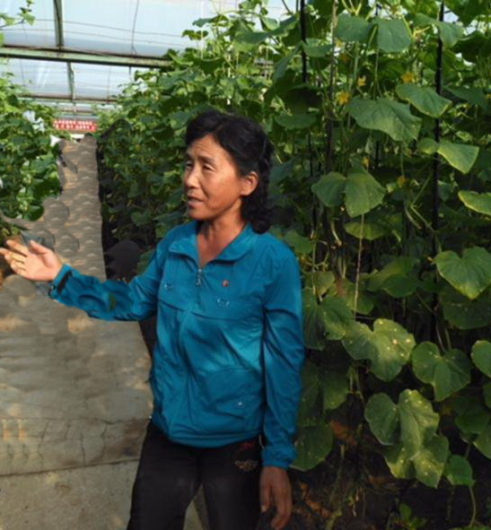 朝鲜老百姓的收入,朝鲜农村一年收入