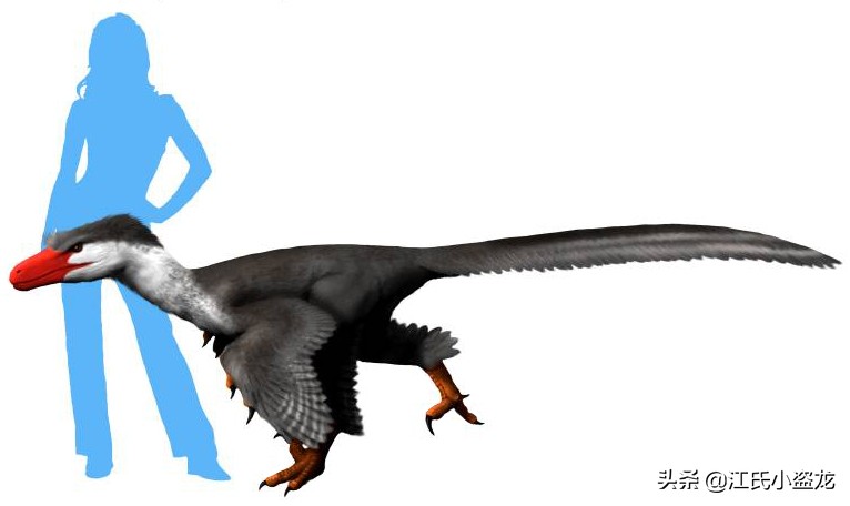 古生物时代有多少种恐龙,人类已经发现了多少恐龙种类