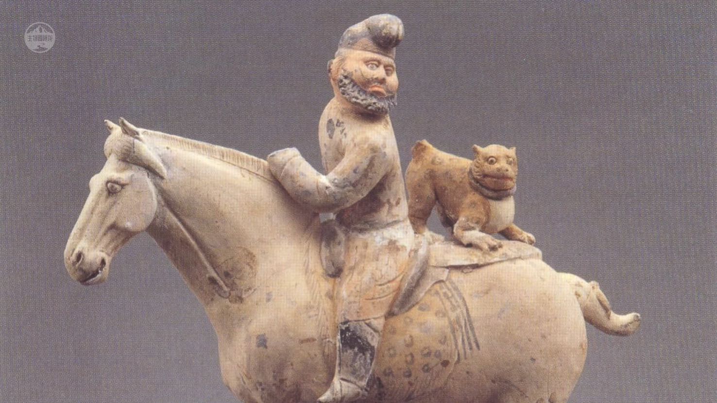 猎豹捕食的时候速度多少,猎豹捕食时的样子