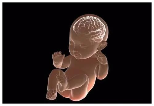 脐血流偏高但大脑中动脉正常,脐血流检查大脑中动脉