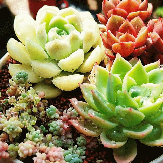 襄阳周末好去处,周末去哪里找乐趣