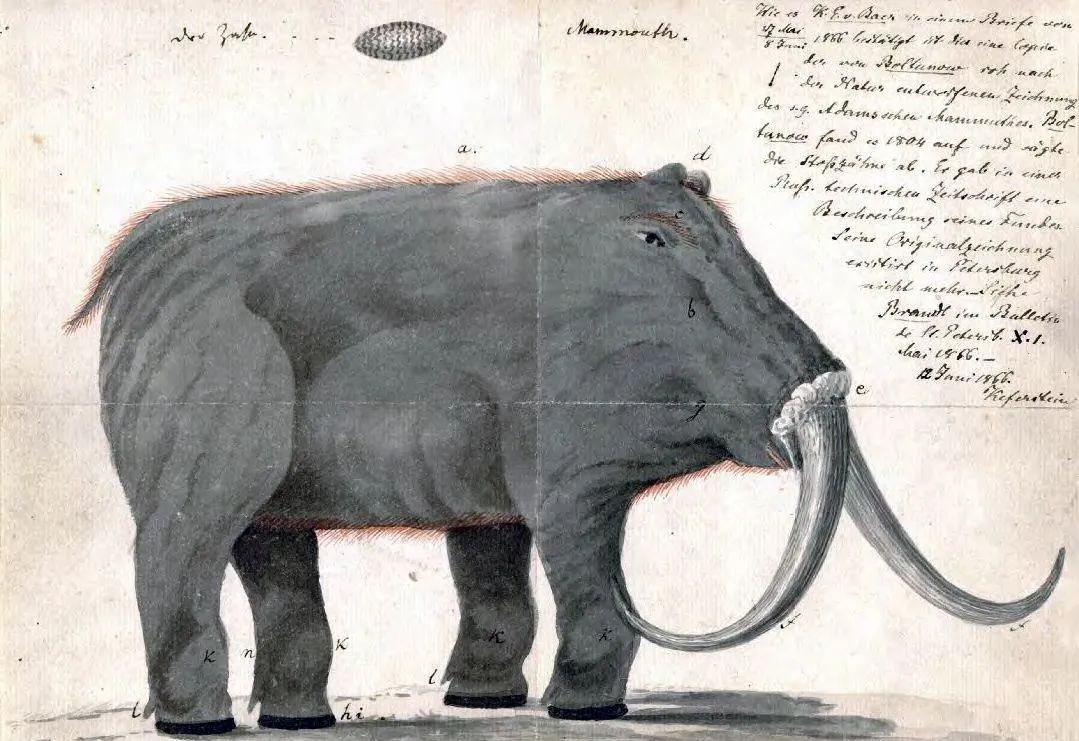 有图有真相有依据,有图有真相眼见为实