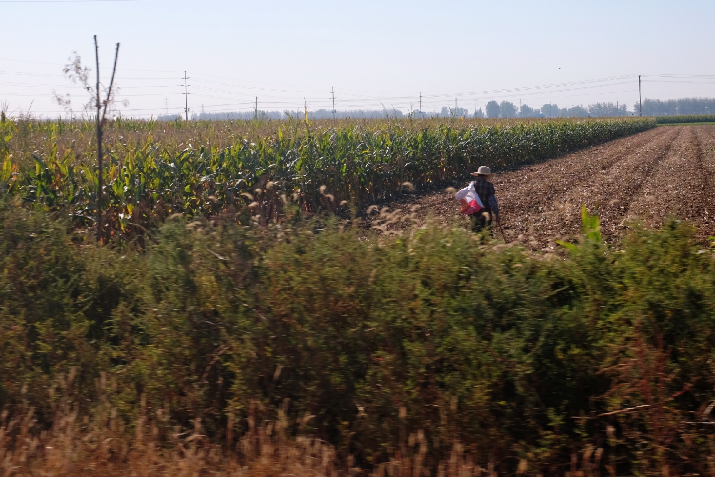 玉田净觉寺景点,唐山净觉寺三大奇观