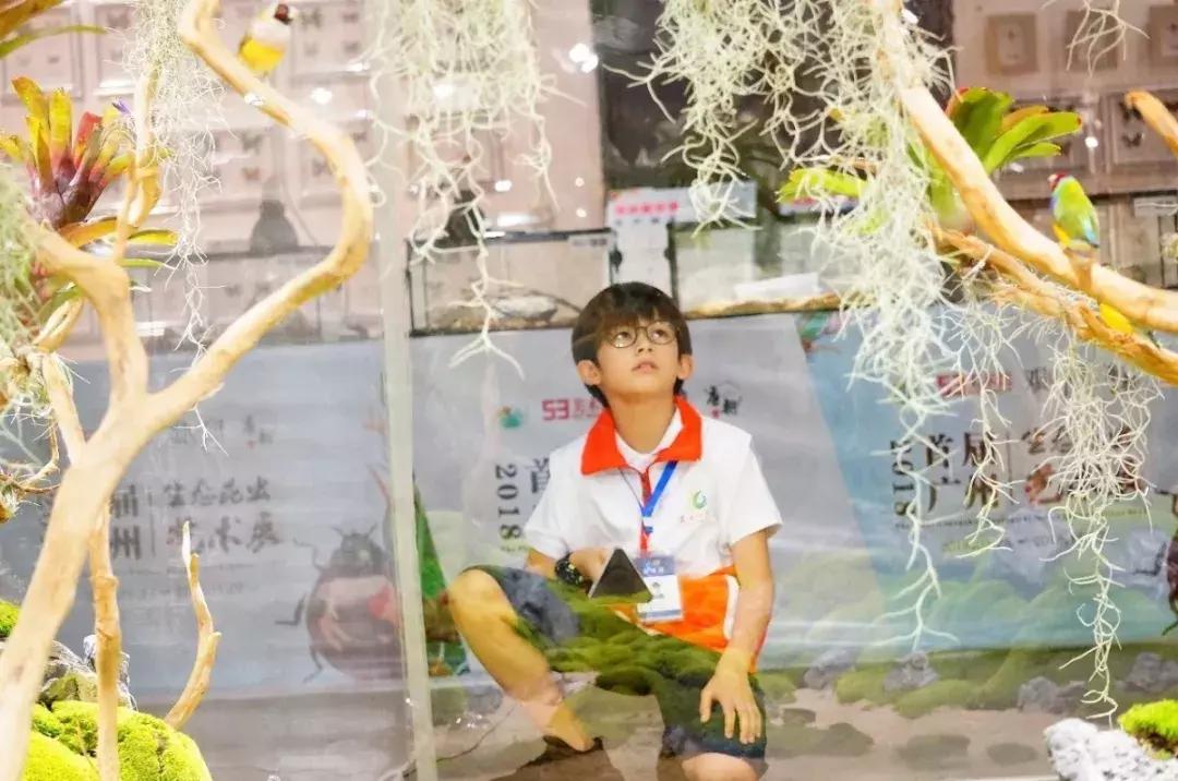 爆火广州溜娃圈的网红双展，宠粉价¥39.9买一送一！劲省二百多元