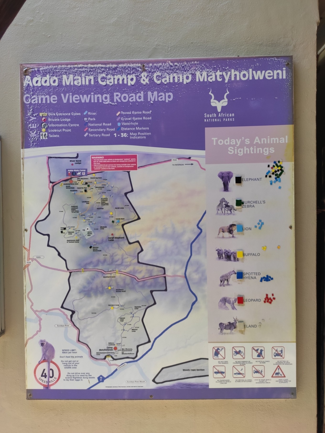 南非自驾游,南非自驾游最新