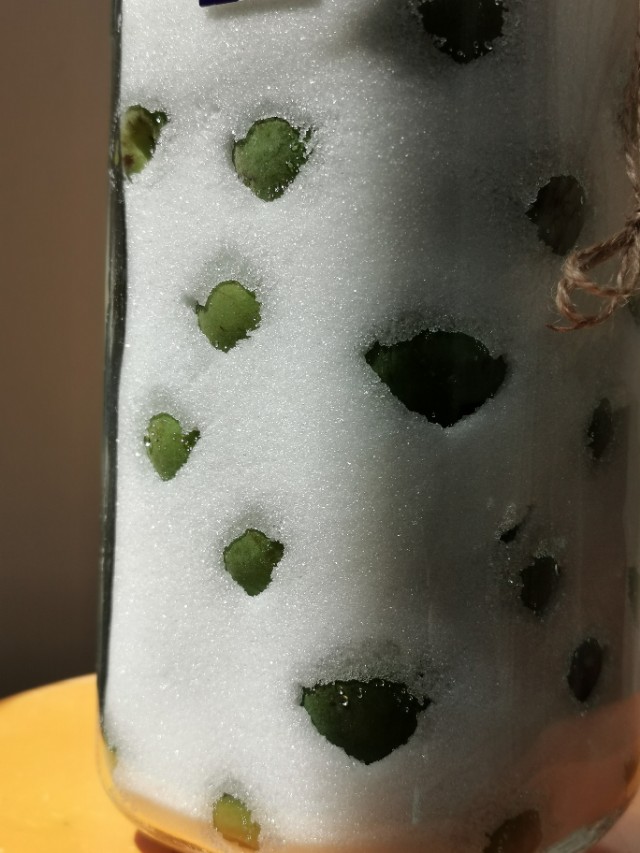 青梅酵素青梅露怎么泡法,青梅露的做法大全家常