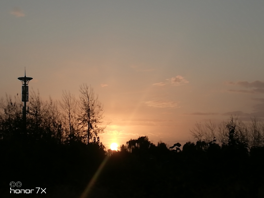 笋因落箨方成竹下一句是什么,笋因落箨方成竹打一生肖